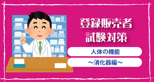 登録販売者試験対策「人体の機能　～消化器編～」